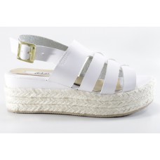 Y401 Azteca Blanco